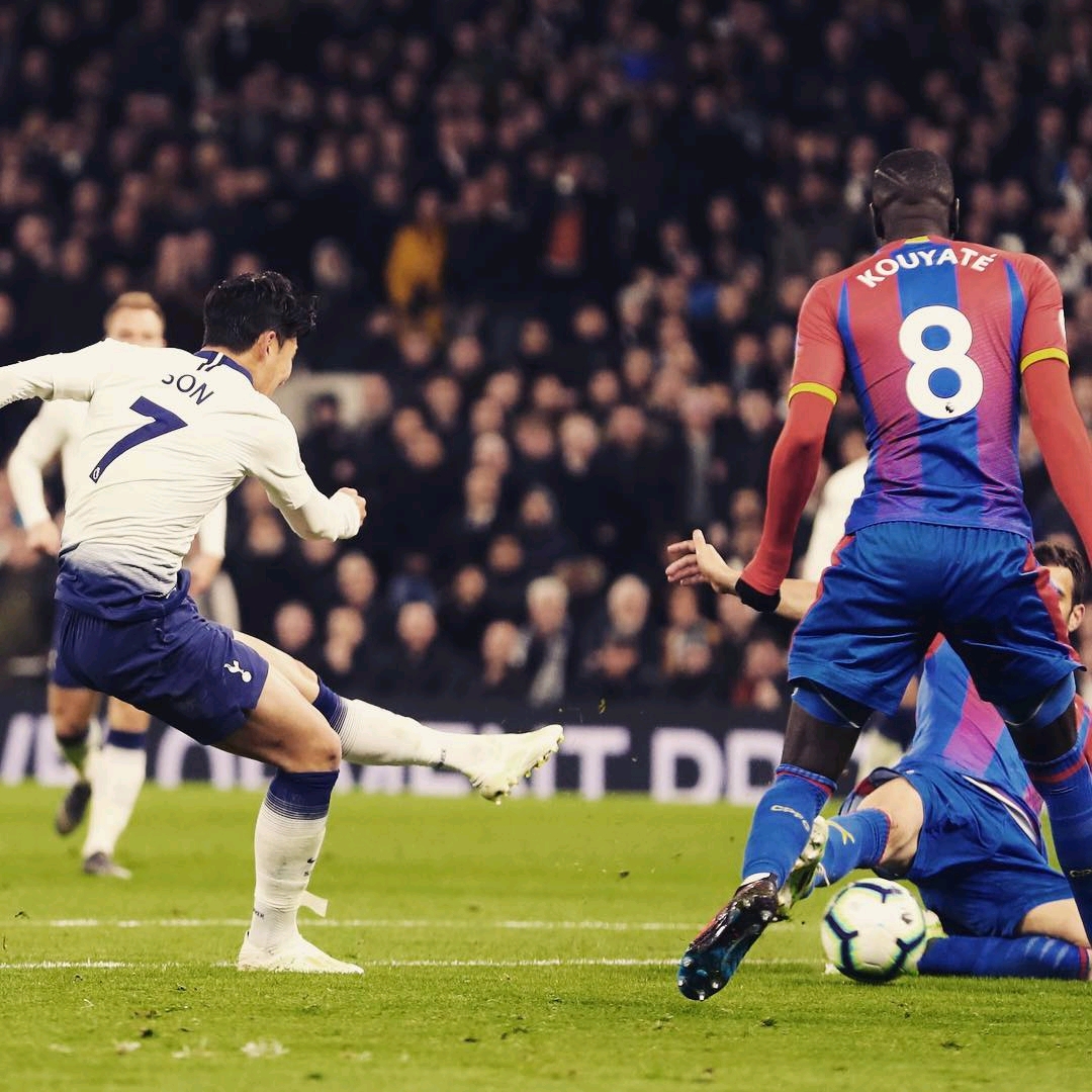 了大量人才 了大量人才